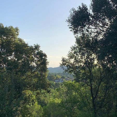 Sous Les Chenes Βίλα Peypin-d'Aigues Εξωτερικό φωτογραφία