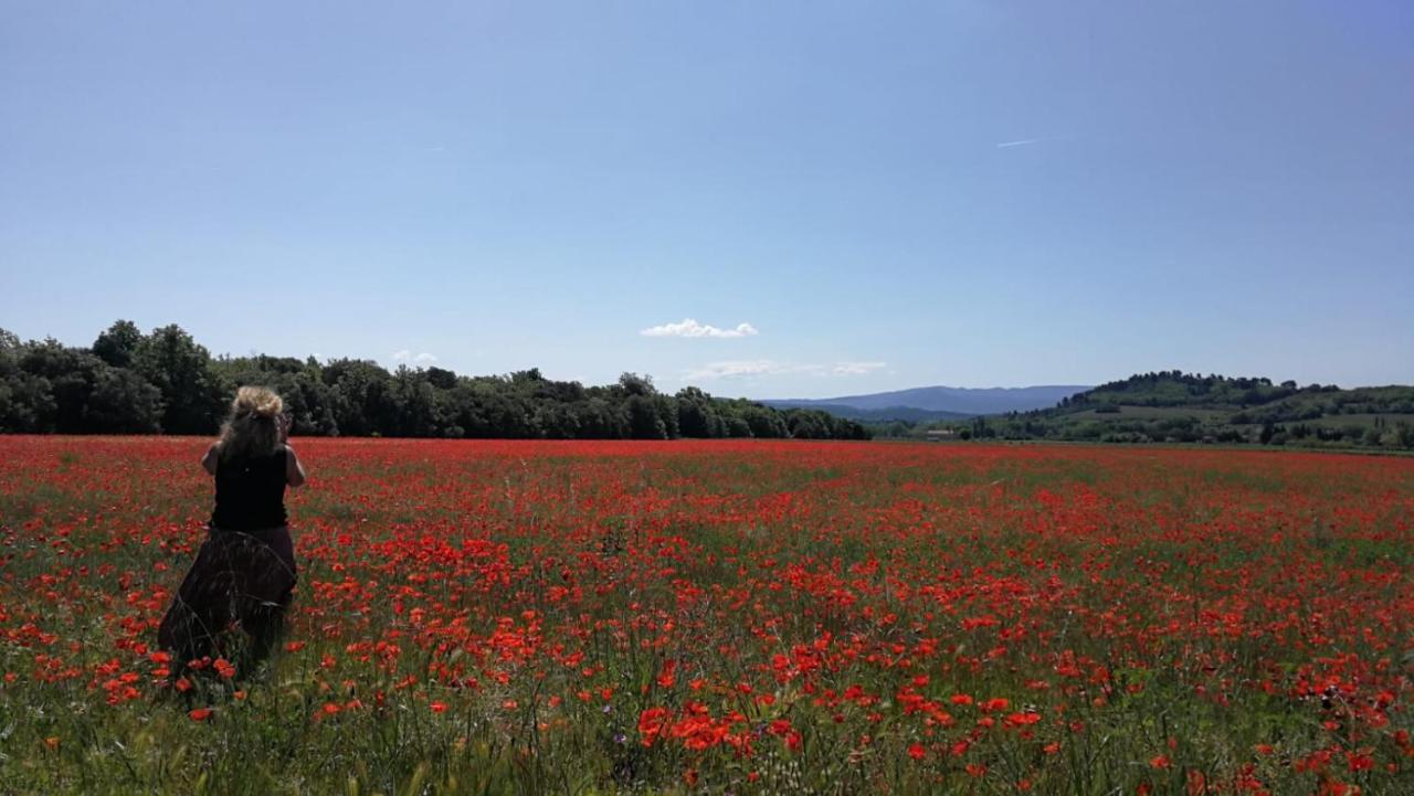 Sous Les Chenes Βίλα Peypin-d'Aigues Εξωτερικό φωτογραφία