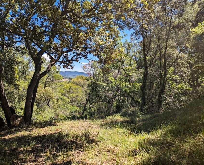Sous Les Chenes Βίλα Peypin-d'Aigues Εξωτερικό φωτογραφία